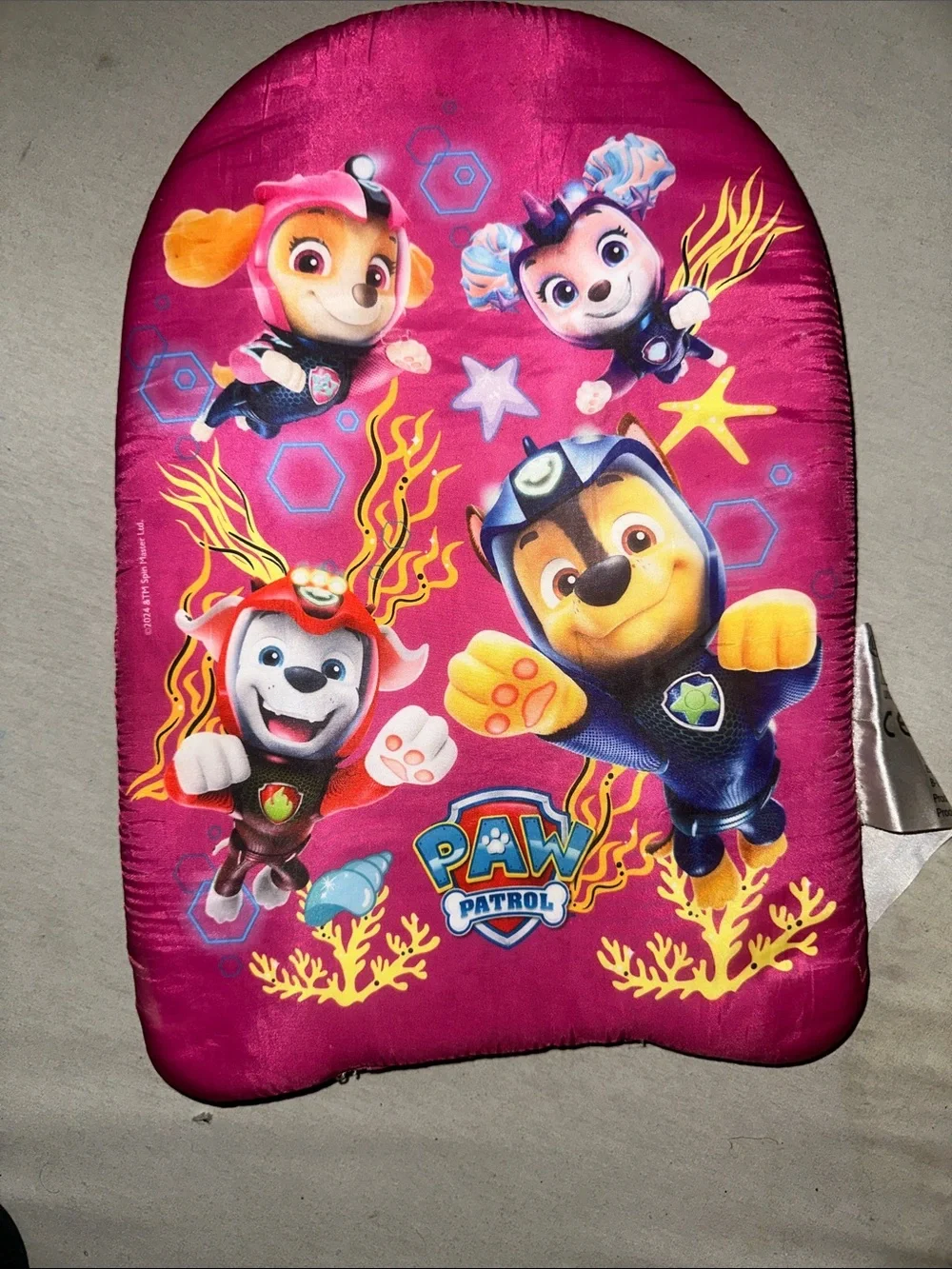 Paw Patrol Pink & Yellow Kids Swim Kickboard with Character Graphics